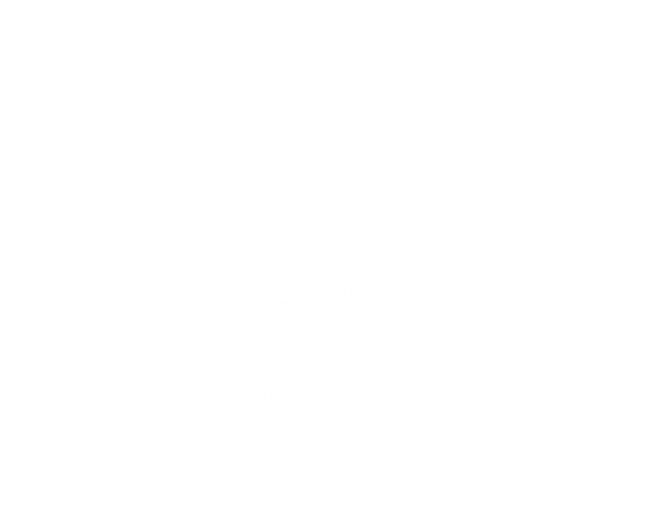 شركاء النجاح